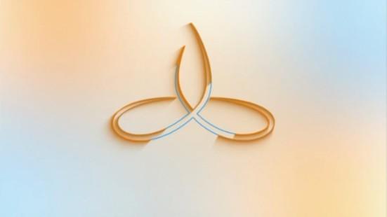 The Heartfulness Institute of Leadership mark: heart and mind intertwined